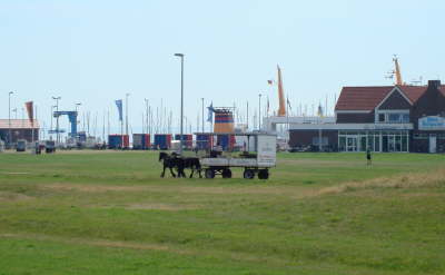 Juist - 014
