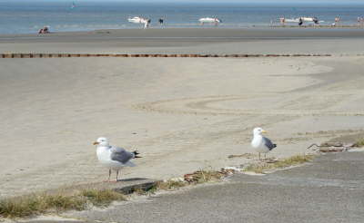 Norderney - 005