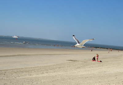 Norderney - 010
